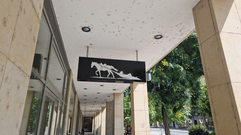 Foto: Michél Rotzsch