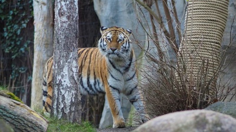 Foto: Zoo Leipzig GmbH