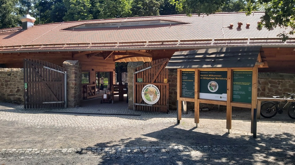 Sommertour zu Sachsens ältesten Wildpark, dem Wildgehege Moritzburg . Foto: MeiDresden.de /Frank Loose