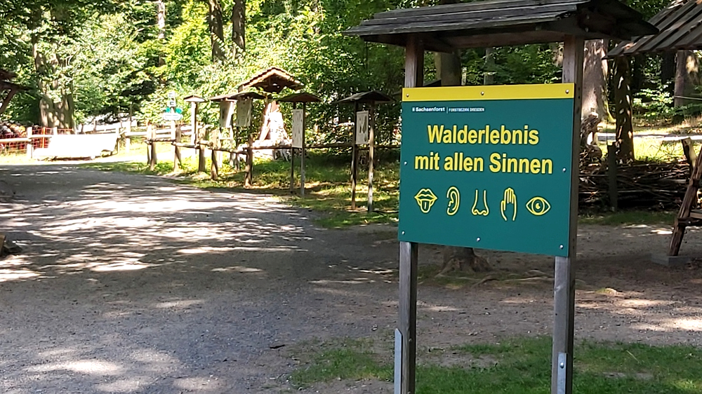Walderlebnis mit allen Sinnen im Wildgehege Moritzburg. Foto: MeiDresden.de /Frank Loose