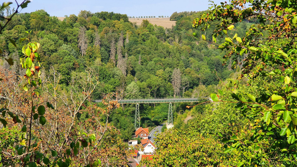 Bei Rübeland spannt sich das Bahnviadukt Neuwerk fast hundert Meter übers Tal. Foto: DJD/Rübeländer Tropfsteinhöhlen/Mandy Leonhardt