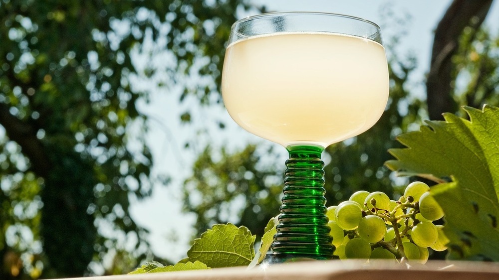 25 3ahre Federweißermeile in Diesbar-Seußlitz. Symbolfoto (Pixabay)