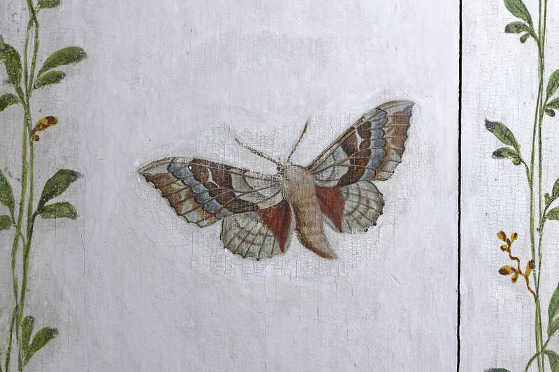 Pappelschwärmer - Schmetterlingsmalerei im Englischen Pavillon Foto Jörg Kuhbandner