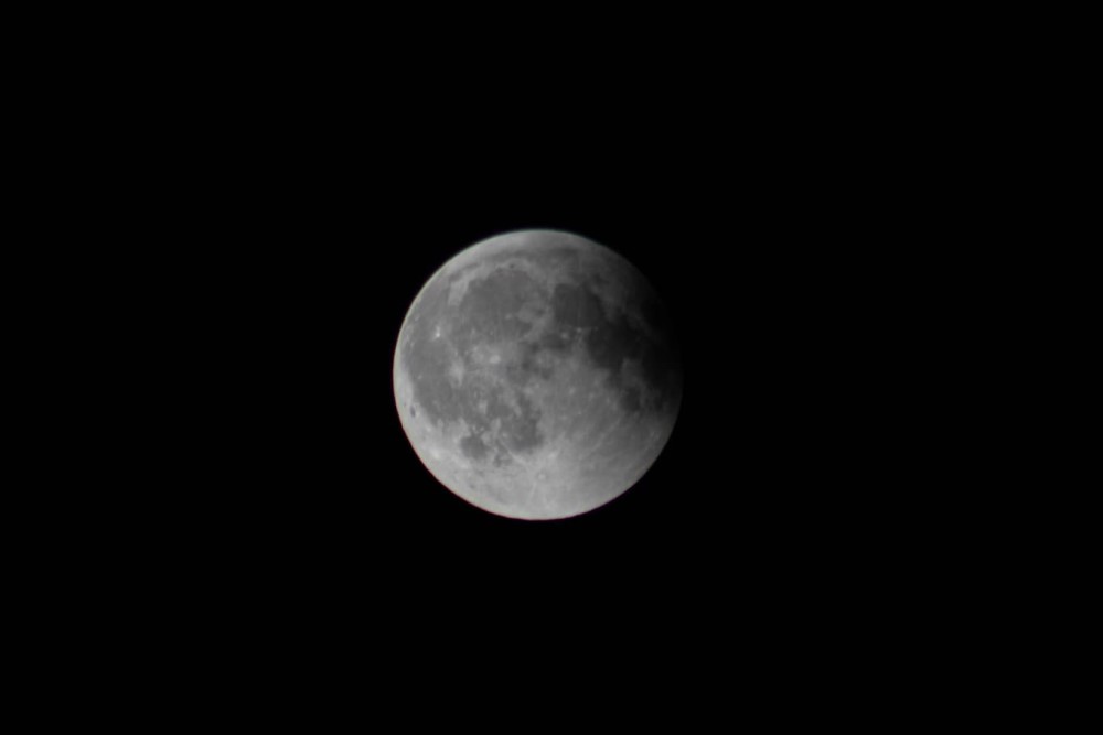 Foto: Sylvio Müller