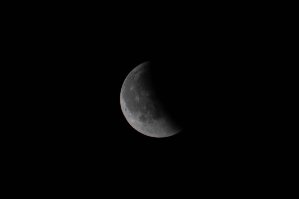 Foto: Sylvio Müller