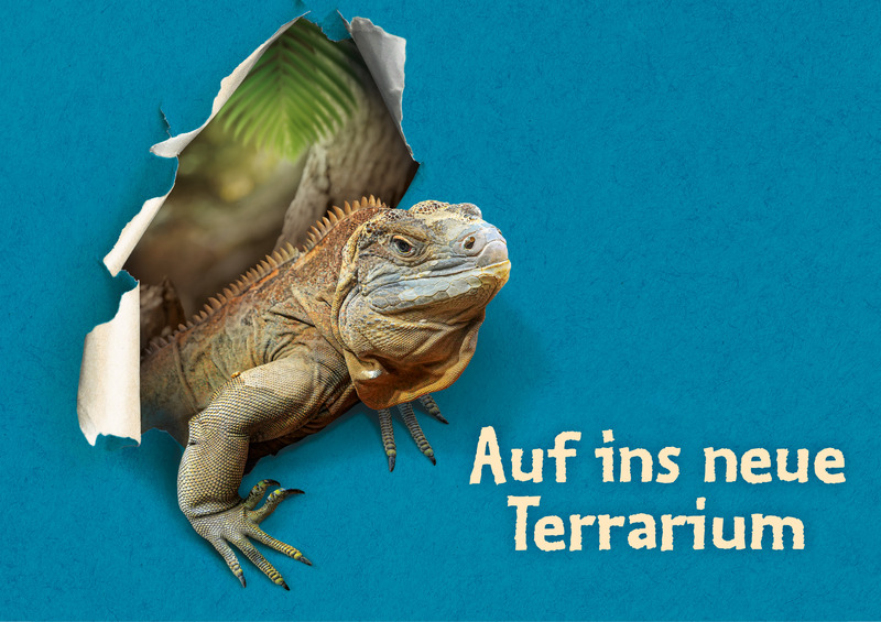 Das neue Terrarium ab 27. September erleben @ Zoo Leipzig