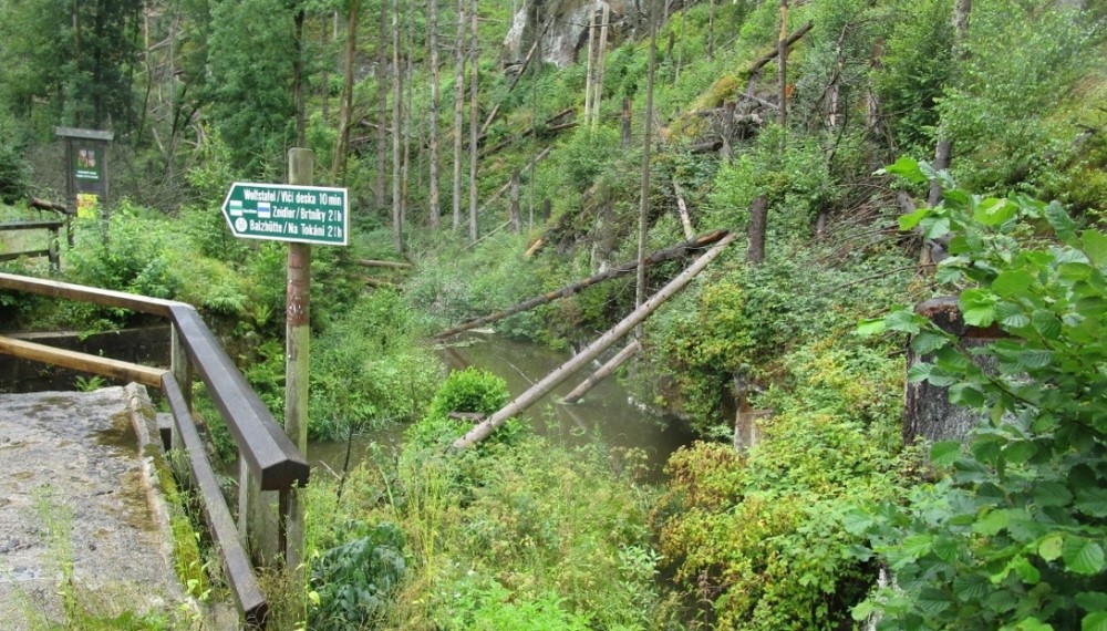 Hinterhermsdorf: Gewässerprofil der Kirnitzsch wird beräumt - Schreitbagger im Einsatz   Foto: © Landestalsperrenverwaltung Sachsen / Sören Fabig
