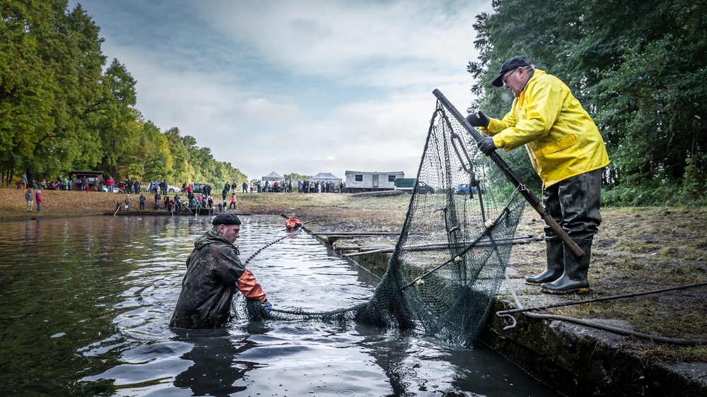 Abfischen in der Lausitz. Foto: Michael Barisch