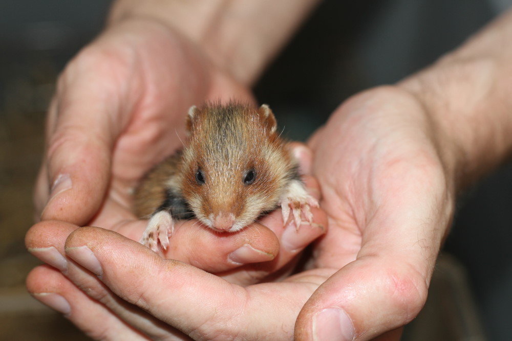 Foto: ©  Zoo Leipzig