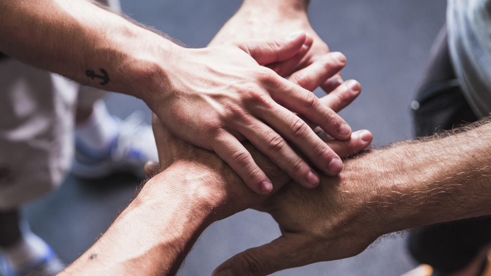 Die Dresdner Ehrenamtsbörse 2025 steht in diesem Jahr unter dem Motto „Ehrenamt für alle!“.Symbolfoto: Pixabay