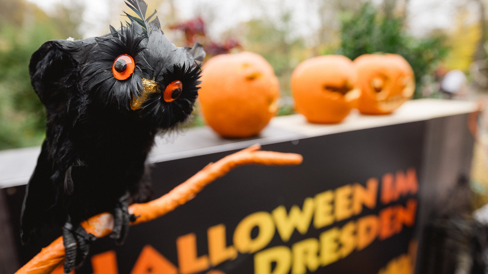 Halloween im ZOO Dresden . Foto: Anke Wolten-Thom