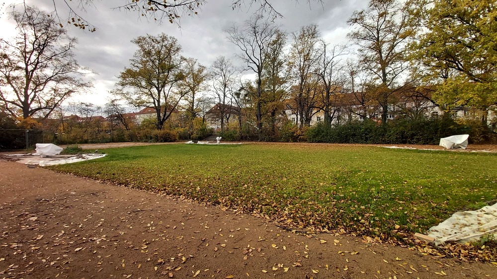 Der Toeplerpark im Stadtteil Tolkewitz wird seit Juni 2025 neu gestaltet,, so langsam nimmt der Park Gestalt an. Foto: MeiDresden.de