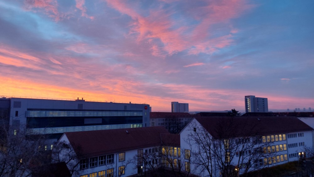 Foto: © MeiDresden.de/Mike Schiller