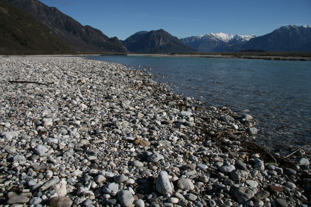 Riserva di Cornino and Tagliamento River     Foto: Fulvio Genero