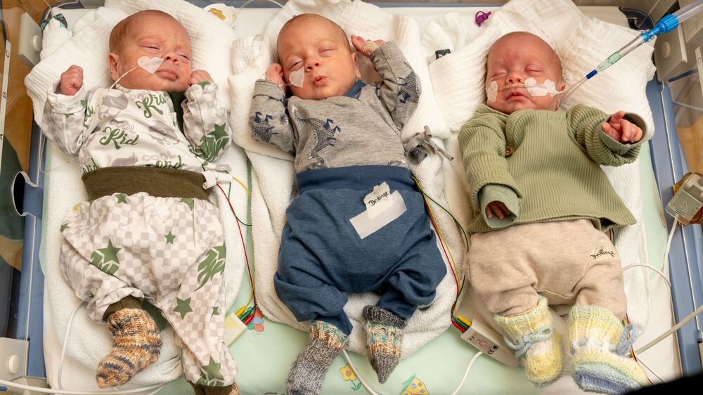 v.l.n.r. Hardy, Levi und Bernie sind aus nur einer befruchteten Eizelle entstanden, die sich zunächst einmal und dann noch einmal geteilt hat. Das ist extrem selten. Foto: UKD/Kirsten Lassig