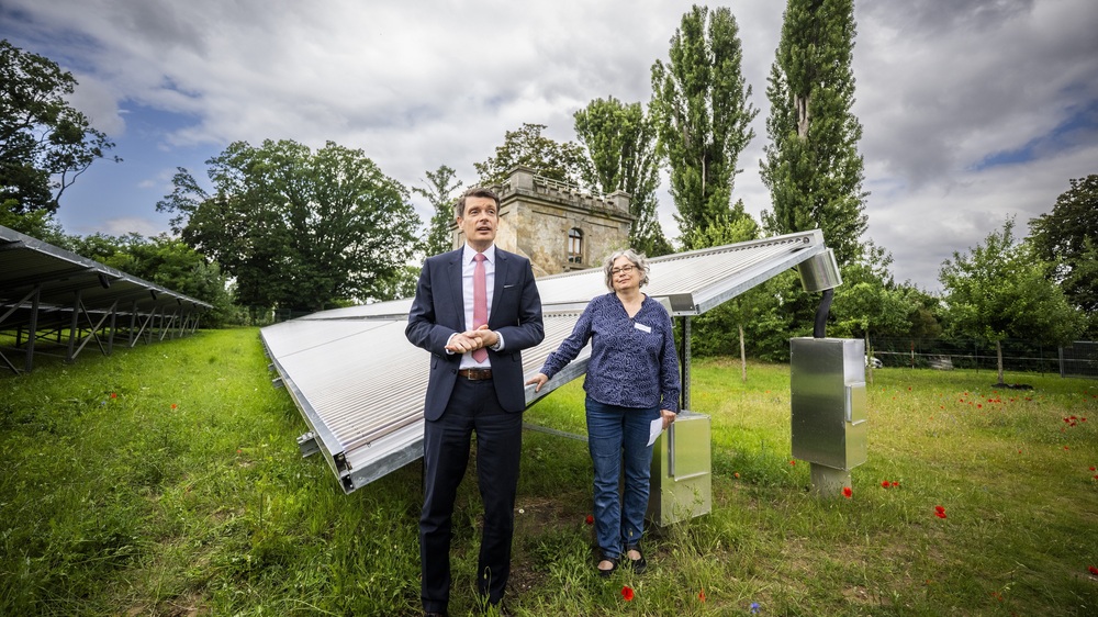 Dresdens Umweltbürgermeisterin Eva Jähnigen und SachsenEnergie-Vorstand Dr. Axel Cunow haben heute, 16. Juni 2025,die erste Freiflächen-Solarthermieanlage im Dresdner Fernwärmenetz vorgestellt. Foto:ẞachsenEnergie AG