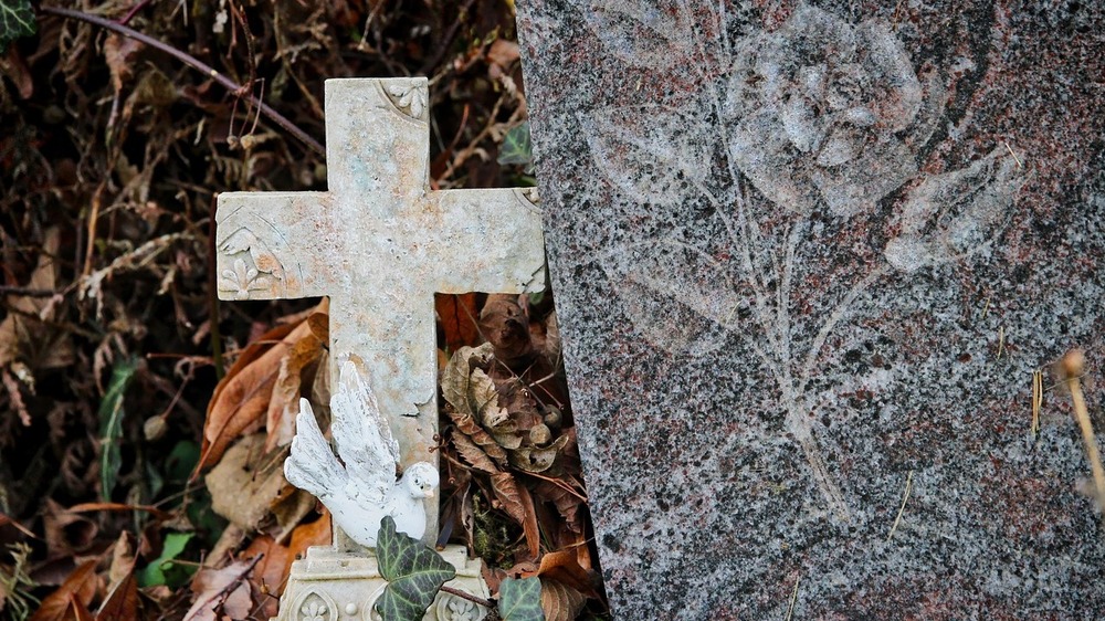 Die Anzahl der Gestorbenen hat sich 2025 wieder leicht erhöht . Symbolfoto: Silvia Stodter auf Pixabay
