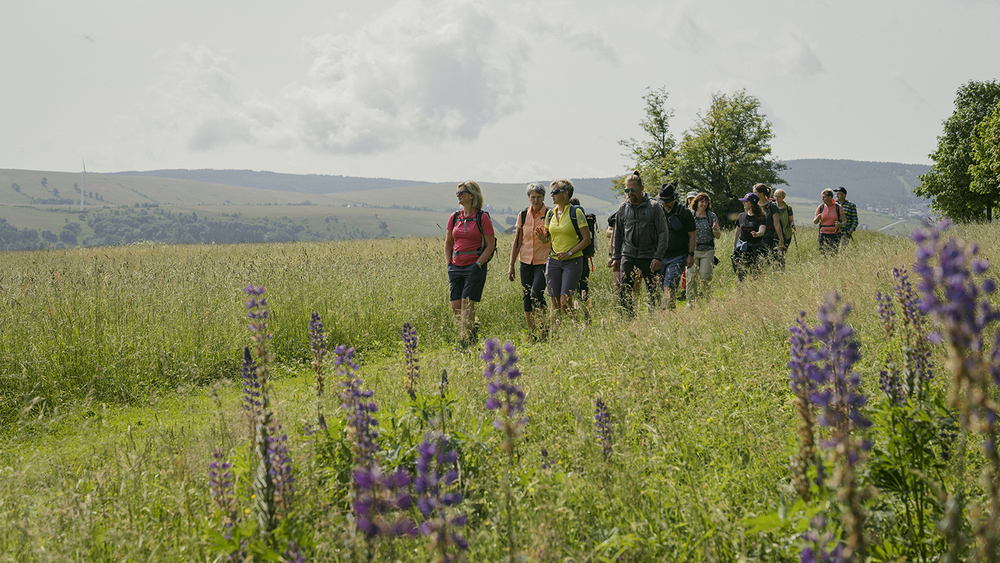 Der Deutsche Wandertag verwandelt das Erzgebirge in ein Zentrum der Begegnung . Foto: TVE/Dirk Rückschloß