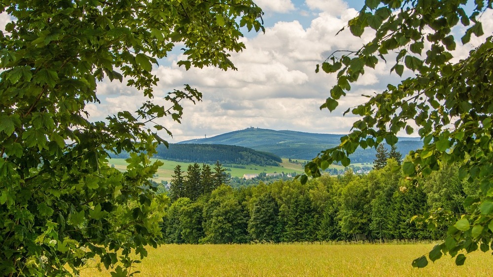 Grenzenloses Wandern im Herzen Europas: Kurort Oberwiesenthal wird 2026 zur Wanderhauptstadt. Foto: B S auf Pixabay