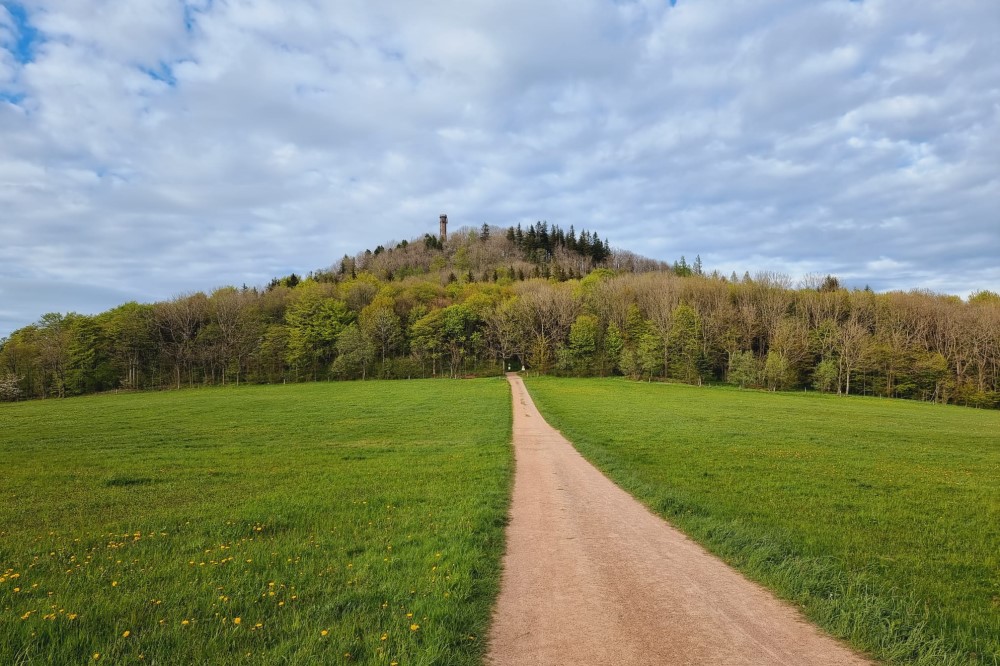 Weg zum Geisingberg © Martin Bruch