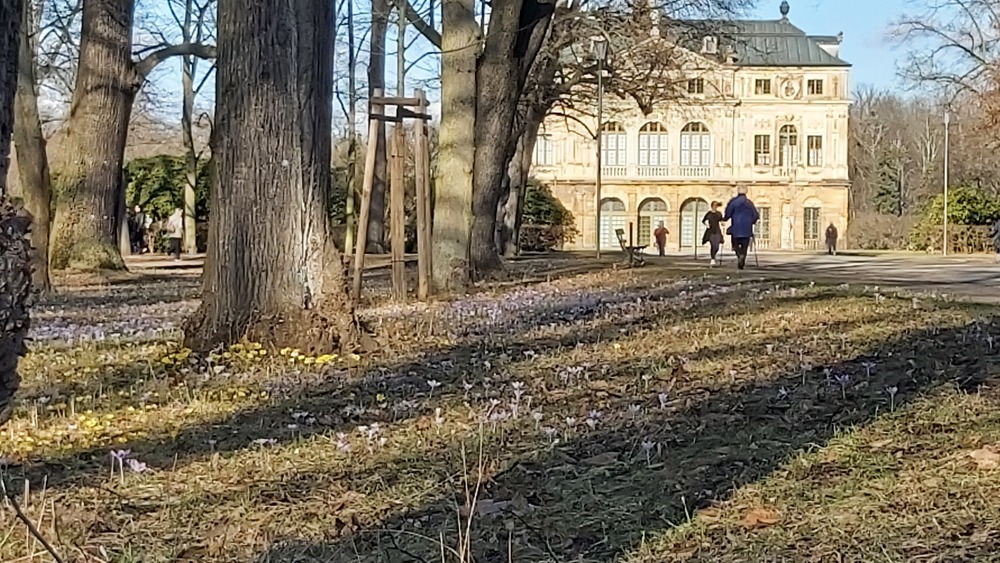 Der Frühling hält langsam Einzug und die Natur wacht aus dem Winterschlaf. Foto: MeiDresden.de