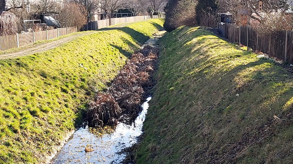 Aufwertung des Landgrabens,,dabei entsteht ein wichtiger Lebensraum für Fische, Insekten und andere Wasserorganismen. Foto_ MeiDresden.de