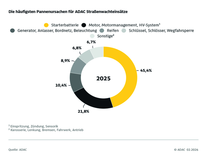ADAC Pannenhilfebilanz Ursachen. Grafik:ADAC Sachsen e.V.