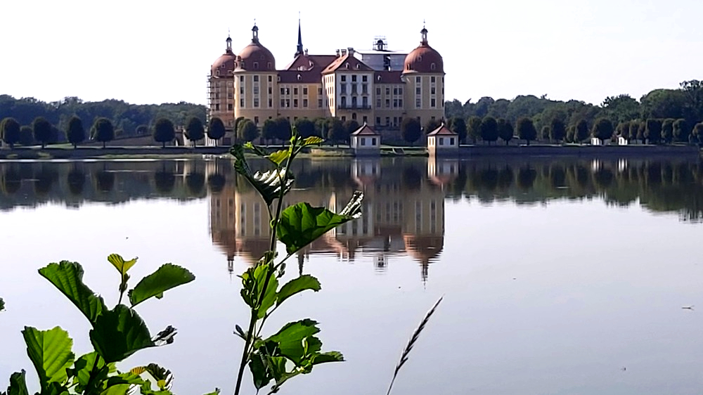 Jagdschloss Moritzburg im Sommer. Foto: MeiDresden.de