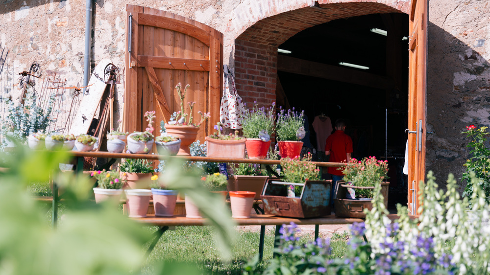 Altzella -  Blumen Gartenschau 2024 Foto: Alexander Genzel