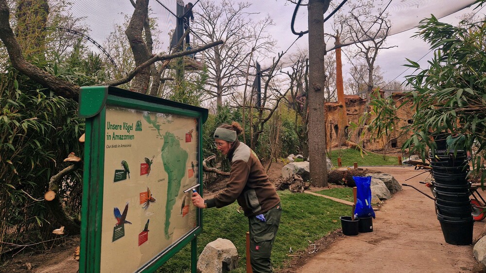 1Countdown in Amazonien - Bereichsleiterin Janet Pambor packt mit an Foto: Zoo Leipzig