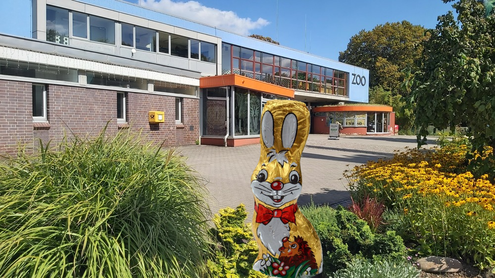 Der Zoo Dresden bietet in den Osterferien vom 3. bis 12. April ein buntes Programm für Kinder und Familien. Auch der Osterhase ist dabei.. Foto: MeiDresden.de (Bildmontage)
