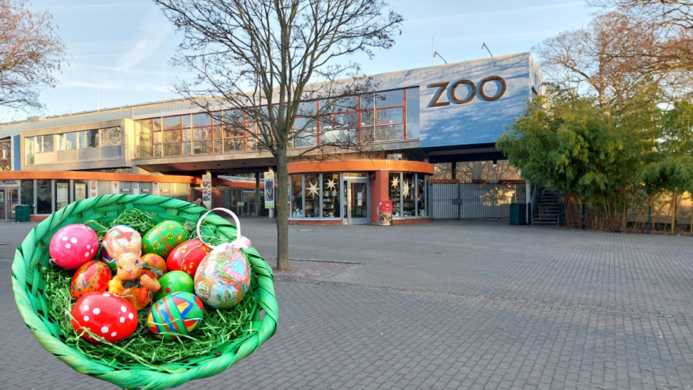 Der Zoo Dresden bietet in den Osterferien vom 3. bis 12. April ein buntes Programm für Kinder und Familien. Auch der Osterhase ist dabei.. Foto: MeiDresden.de (Bildmontage)