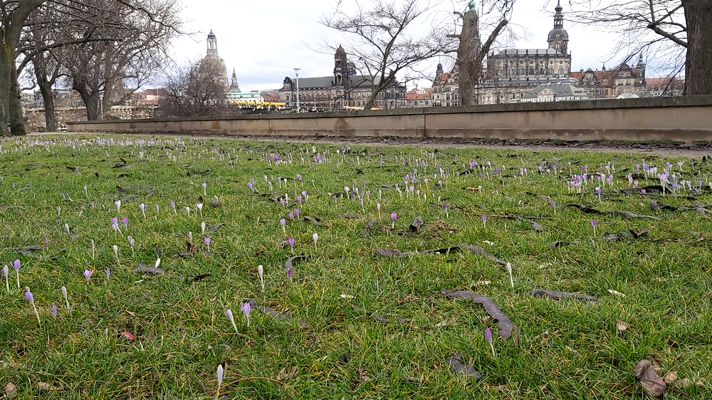 Zum Monatsende gab es vor allem in höheren Lagen noch einmal ein paar Flocken, im Tal blieb es relativ Freundlich. Foto: MeiDresden.de