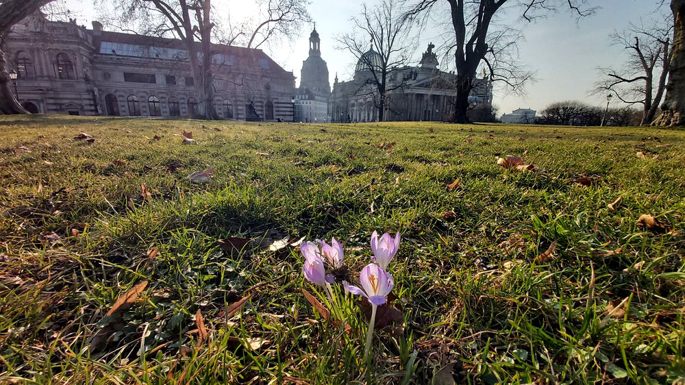 Auch wenn die Spitzenwerte nicht an das Jahr 2022 heranreichen , war es im März mild und oft sonnig. Foto MeiDresden.de