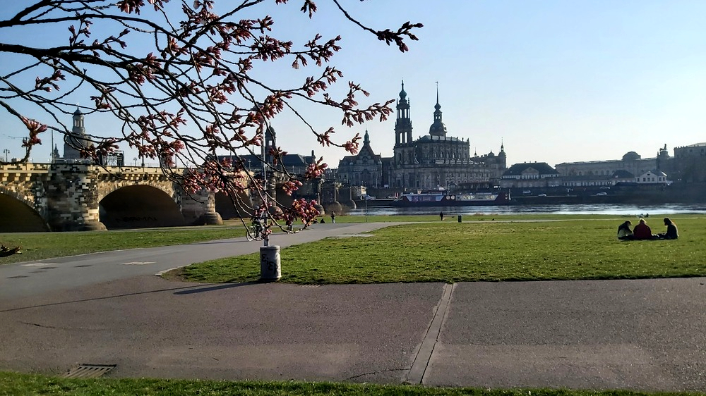 Dank Hochdruckeinfluss zeigte sich der März oft von seiner freundlichen und milden Seite. Foto- MeiDresden.de