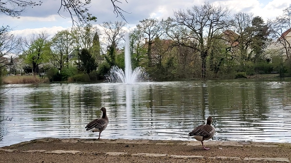 Der April war im großen und ganzen sehr sonnig mit wenig Niederschlägen. Foto: MeiDresden.de