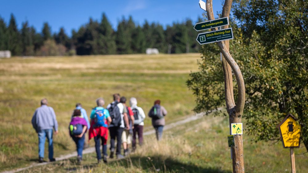 Wanderung Wanderwochen Gruppe Oberwiesenthal Foto:TVE/ Uwe Meinhold