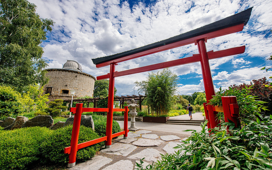Zwischen Ahorn, Bambus und Naturstein findet sich im Japanischen Garten eine ruhige Szenerie mit fernöstlicher Anmutung. Foto: DJD/Erfurter Garten- und Ausstellungs/Steve Bauerschmidt
