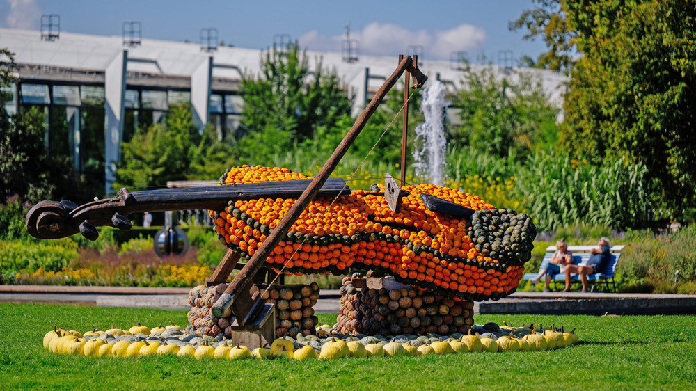 Die saisonal wechselnden Pflanzbilder verbinden gärtnerisches Handwerk mit kreativer Formensprache. Foto: DJD/Erfurter Garten- und Ausstellungs/Steve Bauerschmidt