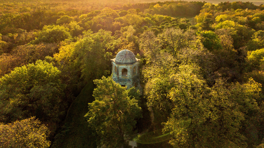 Vom Belvedereturm blicken die Besucherinnen und Besucher über die Baumwipfel hinweg in die Ferne. Foto: DJD/Tourist Information Halberstadt/Stefan Herfurth