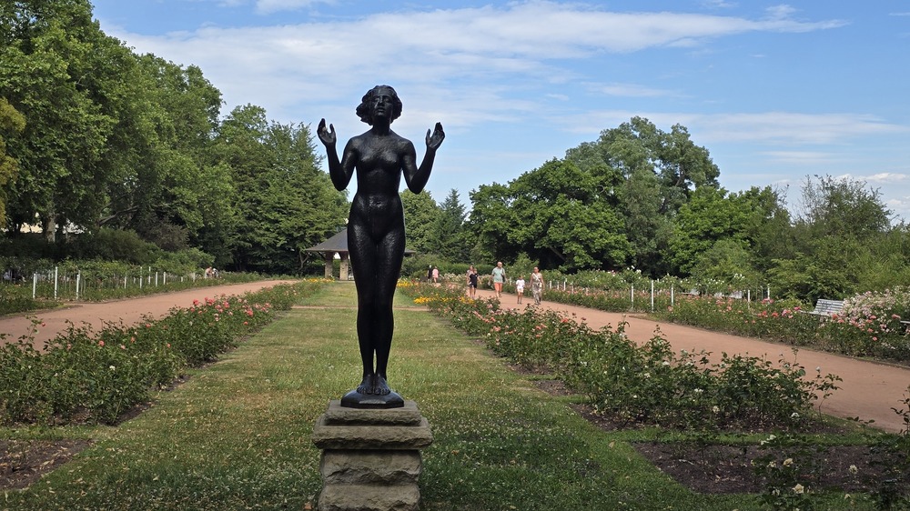 Rosengarten Dresden Foto: Cornelia Borkert
