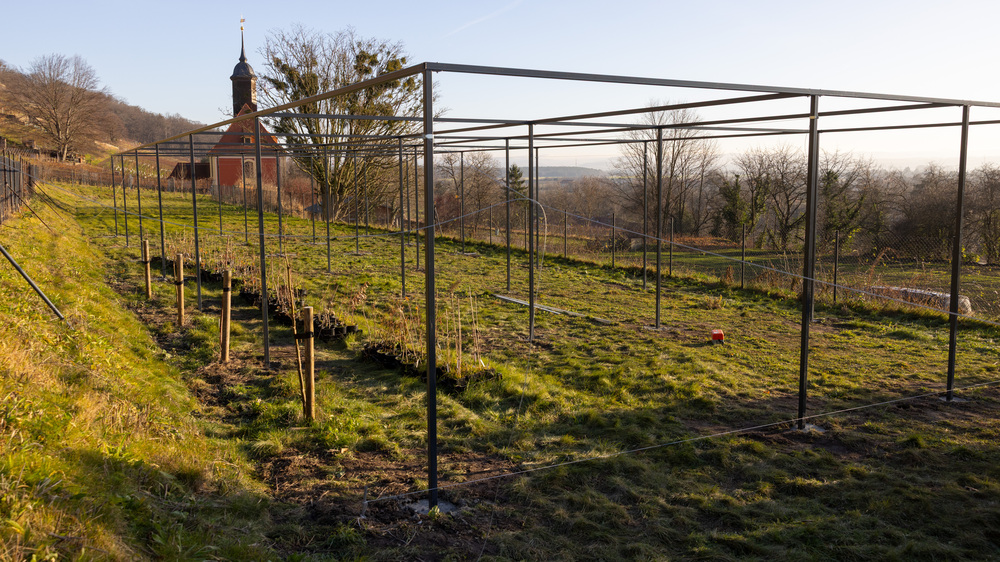Schattiergerüst Anzuchtfläche Pillnitz © Schlösserland Sachsen