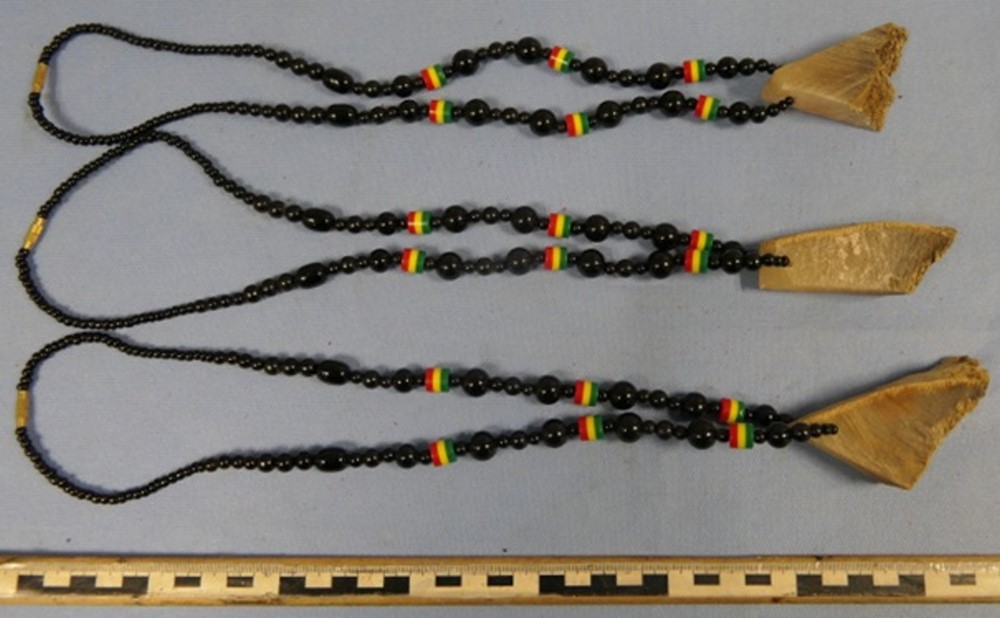 Kette mit Nashornstück  © ZOLL
