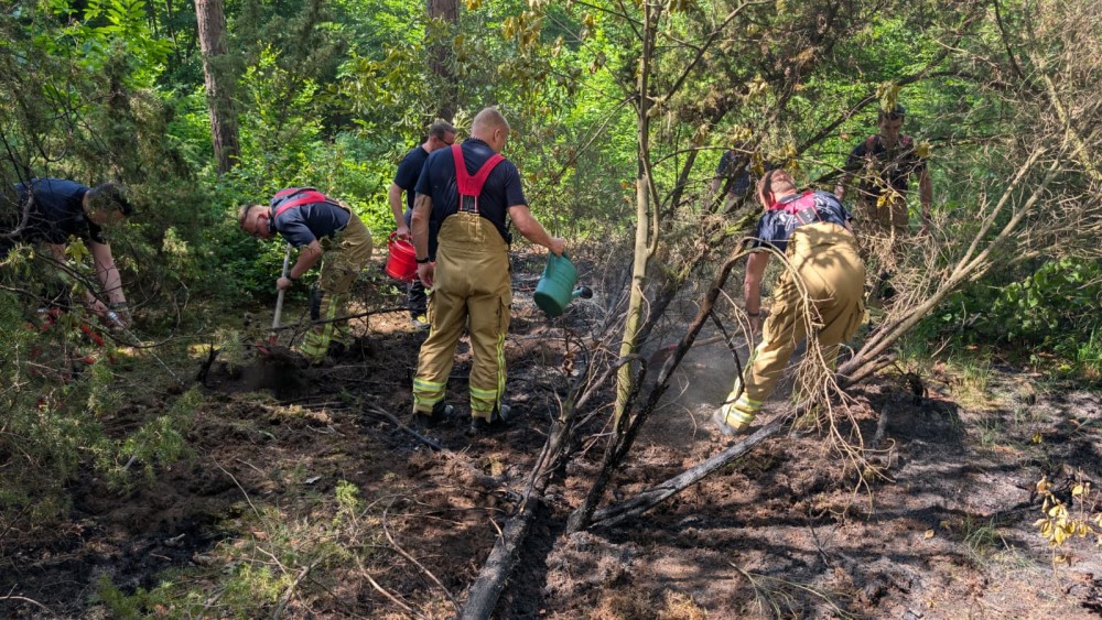 © Feuerwehr Dresden Einsatzkräfte bei der Brandbekämpfung.