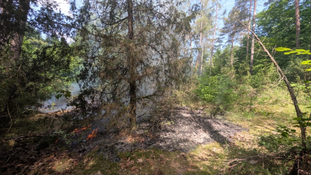 © Feuerwehr Dresden Einsatzkräfte bei der Brandbekämpfung.