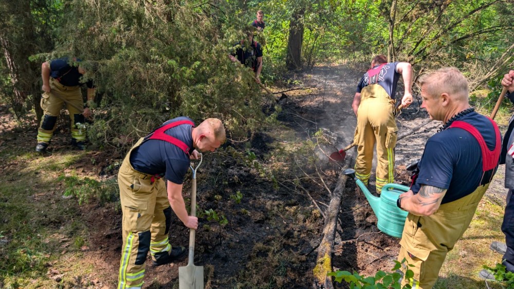 © Feuerwehr Dresden Einsatzkräfte bei der Brandbekämpfung.