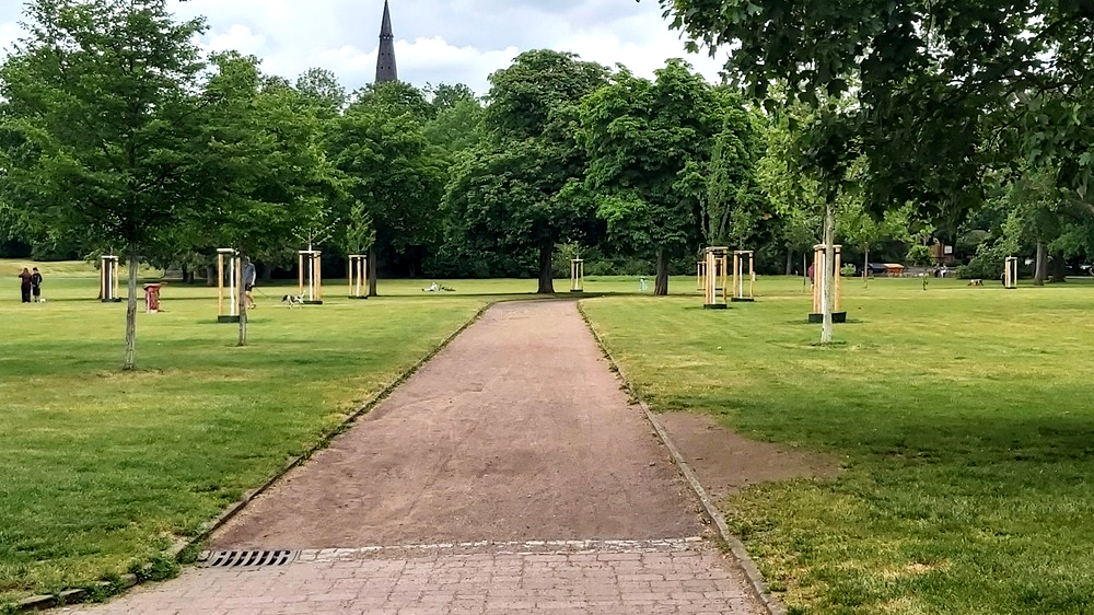 Mittlerweile wurden auch viele neue Bäume im Alaunpark gepflanzt. Foto: MeiDresden.de