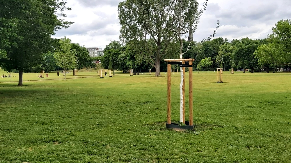 Der Alaunplatz ist ein beliebter Treffpunkt für jung und alt in der Dresdner Neustadt vorallem in den wärmeren Monaten des Jahres. Foto: MeiDresden.de