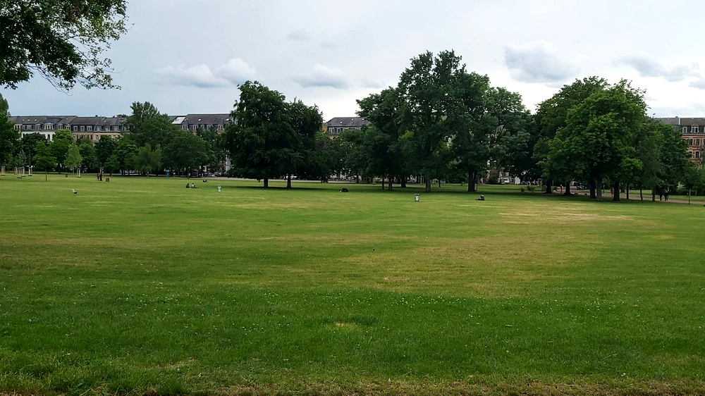 Der Alaunplatz bekommt einen weiteren barrierefreien Sitzplatz für alle Generationen. Die Bauarbeiten beginnen Mitte Juni 2026 . Foto:MeiDresden.de