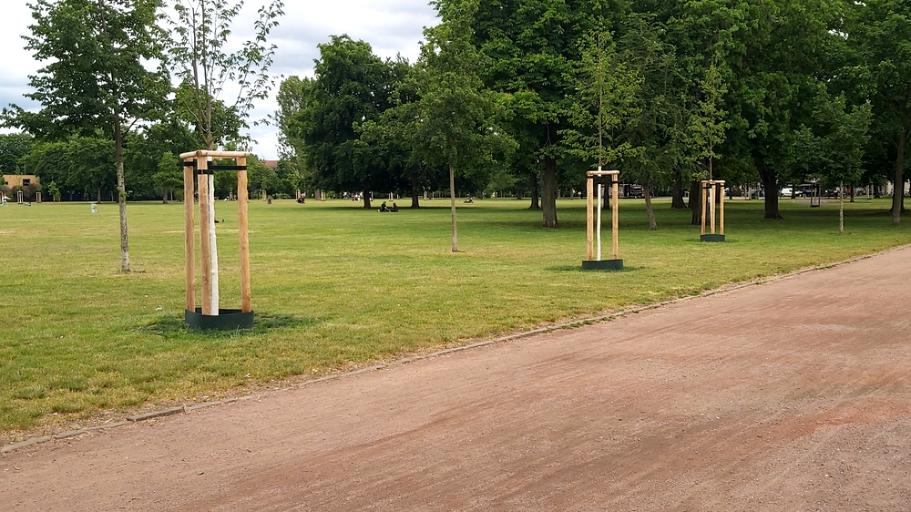 Neustadt: Kieztag im Alaunpark. Foto: MeiDresden.de